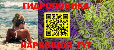 гидра Малгобек