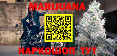 гидра Малгобек