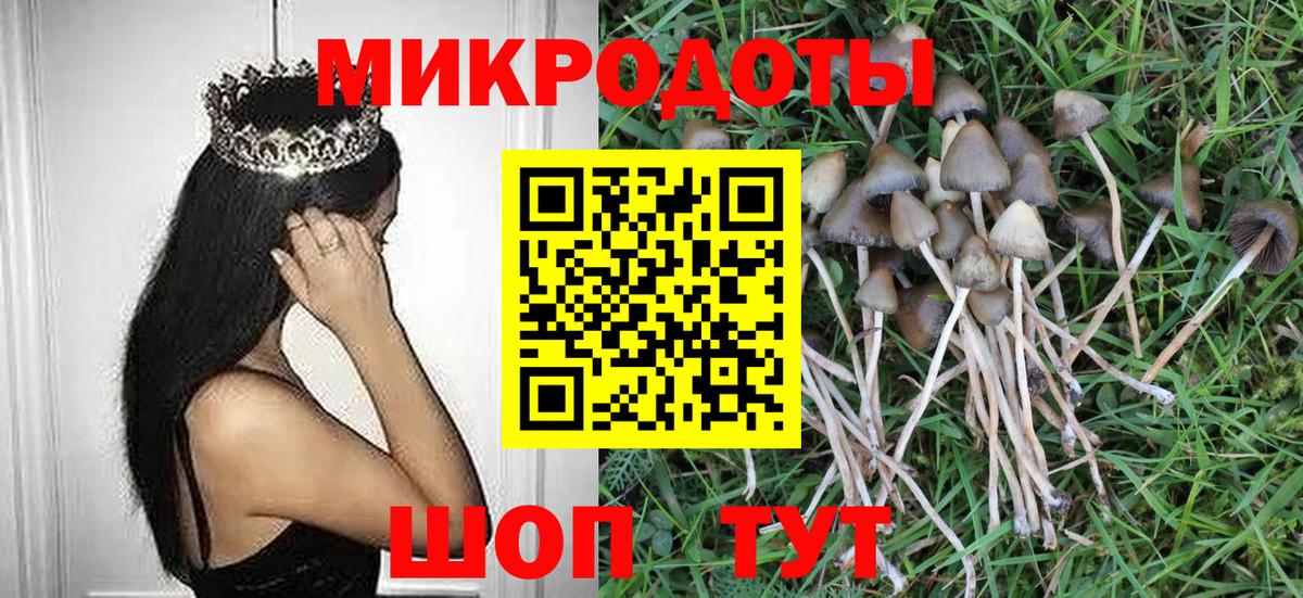 Шебекино  Псилоцибиновые грибы GOLDEN TEACHER  Псилоцибиновые грибы Magic Shrooms  Вход с VPN 
