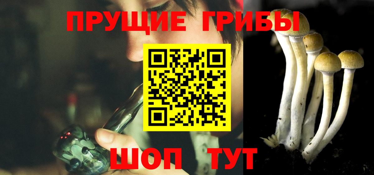 Псилоцибиновые грибы Psilocybe Шебекино
